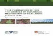 Tree planTaTions wiThin The conTexT of ecological resToraTion … · 2013. 9. 25. · Plantation in the context of ecological restoration 12 objective of the guide 13 references and