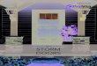 2019 STORM DOORS - Packerland Home Improvement · 2019. 3. 8. · DECORATOR STORM DOORS INCLUDE: • Triple seal bottom sweep • 1¼" x 4" wide sculptured frame Decorator Series