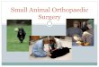 Small Animal Orthopedic Surgery...Small Animal Orthopaedic Surgery Orthopaedic Surgery Rotation Emphasis: o Evaluation of lameness in Small Animals o History Taking & Orthopaedic Exam