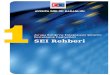 Avrupa Birliği’ne Entegrasyon Sürecini Destekleme Faaliyetleri SEI … · 2012. 6. 14. · 1. Avrupa Birliği’ne Entegrasyon Sürecini Destekleme Faaliyetleri (SEI) – Giriş