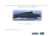 Humpback whale satellite tagging in the South-Western ...indocet.org/wp-content/uploads/2016/11/IO-Tagging... · Patrick Pinet, BeBraX Vanessa Estrade, Globice Guillaume Cottarel,