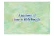 Anatomy of convertible bonds - Hong Kong University of ...maykwok/Web_ppt/anatomy/anatomy.pdfAnatomy of convertible bonds Review of convertible formulas stock price $30.00 per share