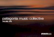 patagonia music collective...Patagonia has teamed up with a diverse group of world-class musicians to help protect and restore our natural environment. The musicians donate an exclusive