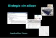 Biologie «in silicomthomas/M1/bio_in_silico/MTC... · 2013. 10. 14. · • Association de la biologie et de l'informatique • Objectifs : • Analyser, modéliser ou prédire les