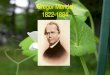 Gregor Mendel 1822-1884 - Weeblymarandoscience.weebly.com/.../gregor_mendel_pwpt_notes.pdf•Mendel determined that there is some factor being passed from parent to offspring. •Scientists