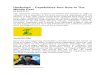 Hezbollah Capabilities And Role In The Middle East · 2017. 11. 10. · By SouthFront The Hezbollah (“Party of God”) movement was formed in 1982 in Lebanon by a segment of the