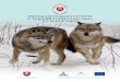 PROGRAM STAROSTLIVOSTI O VLKA DRAVÉHO (Canis ...Program starostlivosti o vlka dravého (Canis lupus) na Slovensku bol spracovaný v rámci projektu Štátnej ochrany prírody Slovenskej
