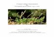 Conservation Assessment f · 2010. 7. 30. · The goal of this Conservation Assessment is to summarize existing knowledge regarding the biology and ecology of Tetraphis geniculata,