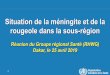 Situation de la méningite et de la rougeole dans la sous-région · 2020. 4. 30. · Notes: Based on data received 2019-04 - Surveillance data from 2018-09 to 2019-02 - * Countries