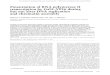 Potentiation of RNA polymerase II transcription by GaI4-VP16 ...genesdev.cshlp.org/content/7/9/1779.full.pdfPotentiation of RNA polymerase II transcription by GaI4-VP16 during but