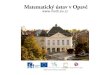 Matematický ústav v Opavě - Slezská univerzitaprojects.math.slu.cz/AM/soubory/KA9/kCemuMatika.pdf · Student je seznámen se základy matematiky a aplikované matematiky, cizím
