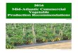 2016 Mid-Atlantic Commercial Vegetable Production ......Sussex County: Dr. Cory Whaley - 302/856-7303, whaley@UDel.Edu Plant Diagnostic Clinic The UD Plant Diagnostic Clinic works