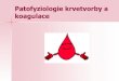 Patofyziologie krvetvorby a koagulace · 2010. 5. 10. · Patologie krve a krvetvorby ... vnitřní cesta-po kontaktu faktorů XII a XI s negativně nabitým povrchem kolagen v subendoteliální
