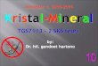 Semester 1, 2018-2019 Kristal-Mineral - ITNY · 2020. 2. 28. · Kristal-Mineral TGS7113 - 2 SKS teori by: Dr. hil. gendoet hartono Semester 1, 2018-2019