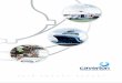 2019 Annual Report - Caverton Offshore Support Group Offshore... · 2020. 6. 4. · The proﬁles of all Directors standing for elecon or re-elecon are available in the Annual Report