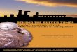 Dipartimento diScienze Psicologiche,della Salute e del ...F. TIRADRITTI (Italian Archaeological Mission to Luxor-Tomb of Harwa) Egyptian Cultural Heritage under threat between auction