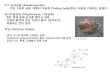 4-2. 담자균류 (Basidiomycetes) 가장 고등한 균류 대형의 자실체 ...contents.kocw.net/KOCW/document/2014/Yeungnam/... · 2016. 9. 9. · 담자균류 (Basidiomycetes)
