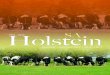 Holstein Desember • December 2011 1...6 Holstein Desember • December 2011 Notule Minutes van ‘n ALGEMENE JAARVERGADERING gehou op 20 SEPTEMBER 2011 te Bloemfontein Skougronde