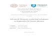 Advanced Thomson scattering techniques as diagnostics for ...paduaresearch.cab.unipd.it/10679/1/mccormack_oisin_thesis.pdf · temporale la temperatura e la densità degli elettroni,