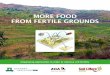 MORE FOOD FROM FERTILE GROUNDS · 2014. 12. 11. · More Food from Fertile Grounds: Integrating approaches in order to improve soil fertility. Alterra - Wageningen UR, Wageningen