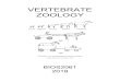 VERTEBRATE ZOOLOGY€¦ · VERTEBRATE ZOOLOGY “The Horse – an outstanding example of evolution”. Saskia Raevouri. Urantia Book. 1998 BIOS2061 2019