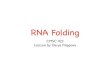 RNA Foldingckingsf/bioinfo-lectures/rnafold.pdf · RNA Folding Rules RNA folding rules: 1. If two bases are closer than 4 bases apart, they cannot pair 2. Each base is matched to