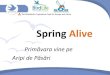 Spring Alive - SOR...• Se hrănesc predominant cu insecte • Juvenilii își ajută părinții la hrănirea fraților mai mici • Puii de prigorie pot fi hrăniți și de 50 de
