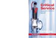 Critical Service - Ar-PolAD 2000-Merkblatt A2 X X X LWN 484.01-E LWN 484.01-E Applications LESER – Critical Service Safety Valves provide solutions for protection against highly