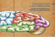 Tumeur cérébrale - Harvey Cushing Centerharvey-cushing- ... veau* et le reste du corps. Cerveau et moelle épinière forment ensemble le système nerveux* central. Le cerveau compte
