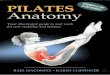 EXEMPLO DE CONTEÚDO! · This is Pilates as you've never seen it before. With detailed descriptions, step-by-step instruction, and stunning full-color anatomical illustrations, Pilates