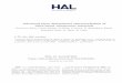 Advanced three dimensional characterization of silica ... · Submitted on 3 Jan 2018 HAL is a multi-disciplinary open access archive for the deposit and dissemination of sci- entific