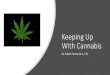 Keeping Up With Cannabis€¦ · Keeping Up With Cannabis By: Galeet Farrow, M.A., LPC. Marijuana Today This is not the marijuana of the 1960’s or even the 1990’s • Marijuana