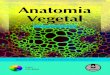 archive.org...C989a Cutler, David F. Anatomia vegetal [recurso eletrônico] : uma abordagem aplicada / David F. Cutler, Ted Botha, Dennis Wm. Stevenson ; tradução: Marcelo 
