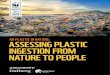 No pLAStIc IN NAture: ASSeSSINg pLAStIc INgeStIoN from NAture … · 2019. 6. 11. · Figure 1: Total production of virgin plastic by year, 1950-2030 (forecasted) pLAStIc IS poLLutINg