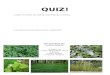 INVASIVE QUIZ.docx · Web viewQUIZ! 1. Explain one reason why stopping invasive species is important. 2. Describe one invasive species and its characteristics. Mix and Match the Invasive