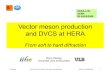 Vector meson production and DVCS at HERAand DVCS at HERAhomepages.vub.ac.be/~pmarage/hera-lhc-version-wshop.pdfP. Marage VM and DVCS at HERA: from soft to hard diffraction HERA-LHC