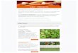 Winkel - MergenMetz · 2020. 5. 7. · Praktisch Handboek Voedselbossen 130 - Meiwerk. Magazine Lees meer Nieuw-Zeelandse spinazie bevat veel vitamine C ... We slachten alleen als