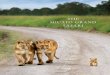 THE MICATO GRAND SAFARI...—Karen Blixen, in a letter to her mother, Ingeborg Dinesen he grand, glamourous, unabashedly luxurious safaris favoured by princes and princesses, potentates,