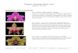 Phoenix Orchids Plant List · 2020. 2. 29. · red breeding that appeared in October 2017 Phalaenopsis Supplement to ORCHIDS magazine. The flowers are long-lasting and highly fragrant