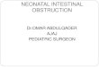 NEONATAL INTESTINAL OBSTRUCTION · 2020. 4. 4. · Failure to recognize neonatal intestinal obstruction can result in Aspiration, Sepsis, Bowel gangrene, Death Perforation Enterocolitis