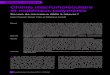 Chimie macromoléculaire et matériaux polymères · 2019. 12. 13. · Matériaux polymères 74 l’actualité chimique - juin-juillet-août 2011 - n° 353-354 Chimie macromoléculaire
