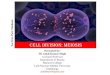 Cell Division: MEiosis - Marwari College Meiosis or Meiotic cell division or Reduction cell division