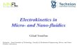 Electrokinetics in Micro- and Nano-fluidicsinrep.org.il/wp-content/uploads/2017/07/electrokinetics.pdf · Micro- and Nano-fluidics Structures of m/nm scale Devices (pumps, valves,