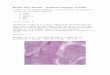 Chicago Pathologychicagopathology.org/wp-content/uploads/2017/11/IRAP2017... · Web viewMultiple Choice Questions – Northwestern University 11/20/2017 1. Which of the following