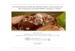 Terrestrial Invertebrate Biodiversity Assessment for the Gnangara 2021. 6. 14.¢  Terrestrial invertebrate