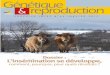 Génétique reproduction - COOPELSO N66.pdf · 2012. 2. 2. · Génétique & reproduction N°66/janvier 2012 1 édito Le déficit pluviométriquedu printemps dernier a apporté son