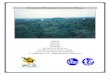 Monitoreo Biológico en la Selva Maya - AFNwcsfl/selva/monbioesp.pdf · 2000. 10. 2. · Centro de Estudios Conservacionistas Facultad de CC.QQ. y Farmacía Universidad de San Carlos