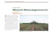 Chapter 6 Weed Management · 2021. 2. 16. · Weed Management I n Chapter 5—Weed Biology, we discussed how weeds grow and compete with crops. While there inevitably will be a certain