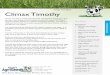 Forage Tech Sheet Climax Timothy - King's AgriSeeds · 2020. 1. 16. · Forage Tech Sheet s mate At A Glance Key Features Best use: hay, baleage, haylage ... tall perennial bunch