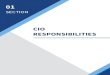 CIO RESPONSIBILITIES...indirectly task the CIO with duties or responsibilities pertaining to IT leadership and accountability. The statutory language is directly pulled from the applicable